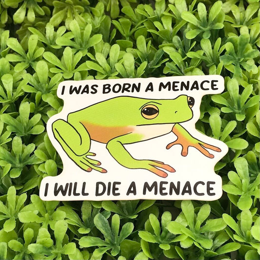 Funny Frog Sticker