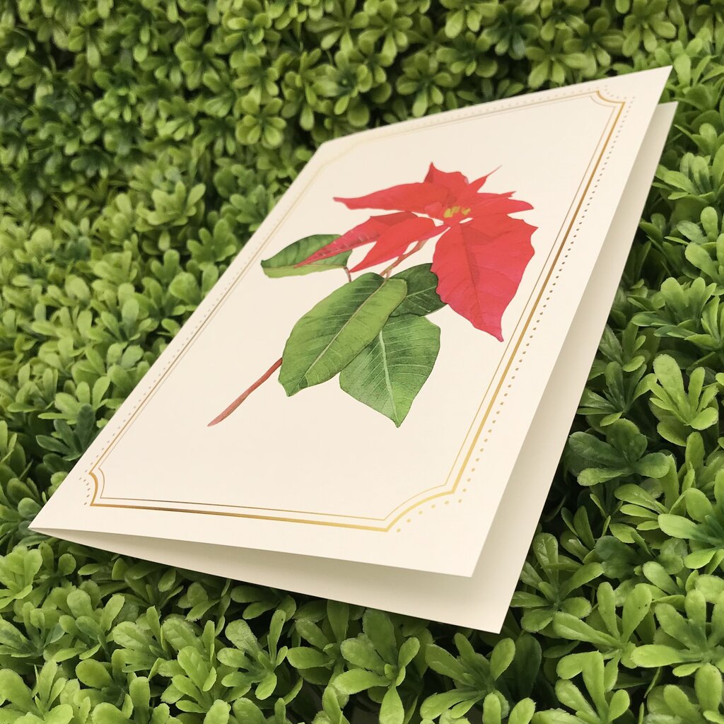 Poinsettia Card