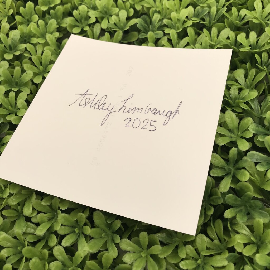 Vibrant Saguaro Sunset Mini Print