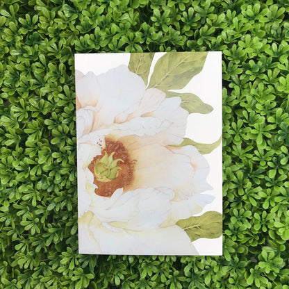 White Peony Card