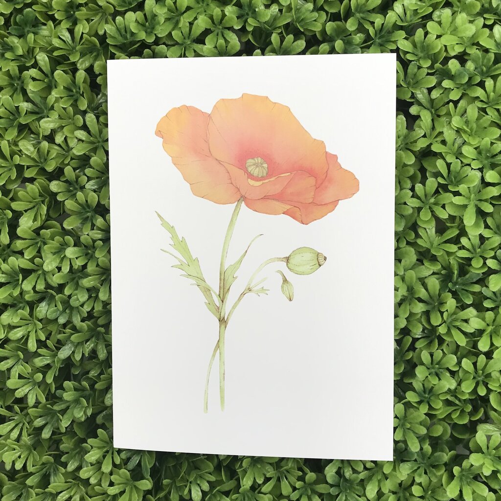 One Poppy Card