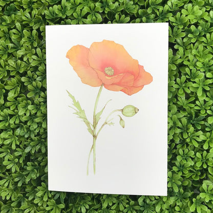 One Poppy Card