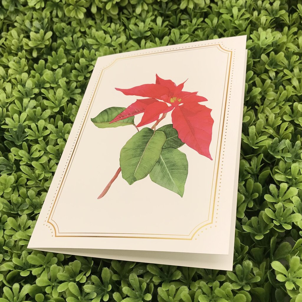 Poinsettia Card
