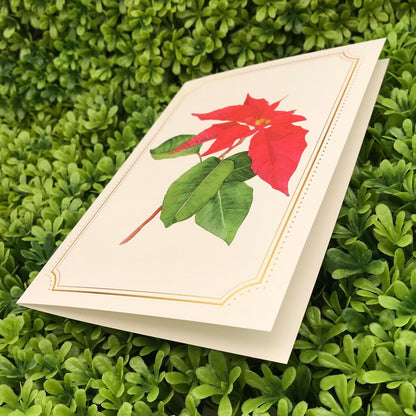 Poinsettia Card
